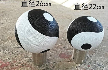 Tai Chi Medicine ball